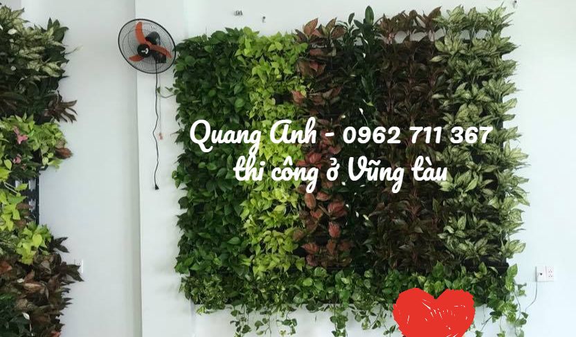 Vườn sân tường mang đến sự tinh tế – Mẫu vườn tường thi công ở Vũng Tàu Vườn sân tường mang đến sự tinh tế – Mẫu vườn tường thi công ở Vũng Tàu
