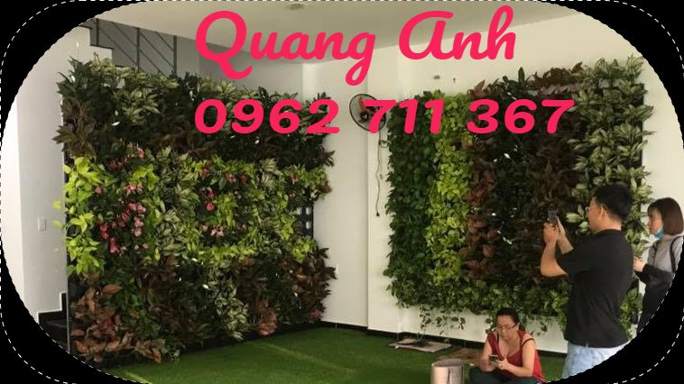 Thiết kế vườn trên tường độc đáo mới lạ tại HCM Thiết kế vườn trên tường độc đáo mới lạ tại HCM