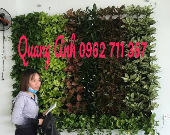 Hé lộ địa chỉ thi công tường cây xanh tốt nhất hiện nay tại tpchm