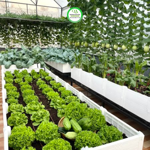 Chậu ghép trồng cây, trồng rau thông minh kích thước 150cm x 300cm x 60cm 