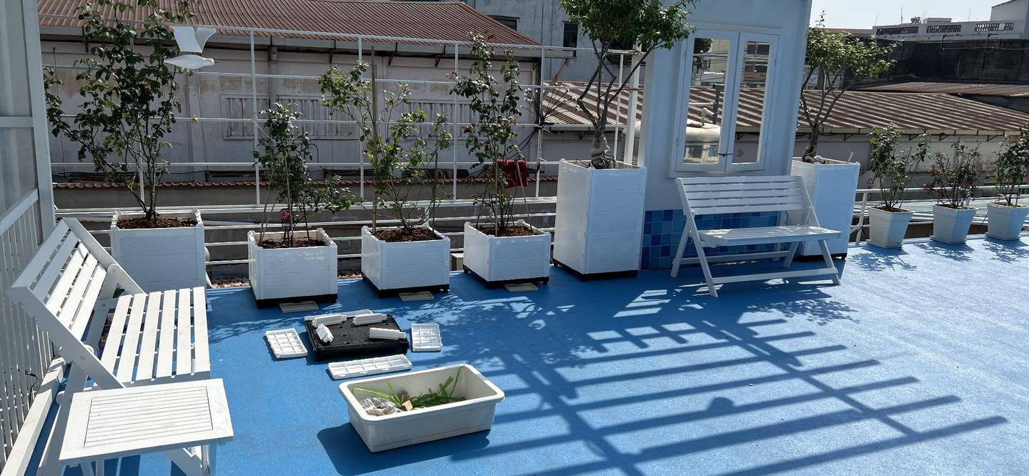 Thiết Kế Vườn Rau Trên Sân Thượng Đẹp, Giá Rẻ Tại Sài Gòn
