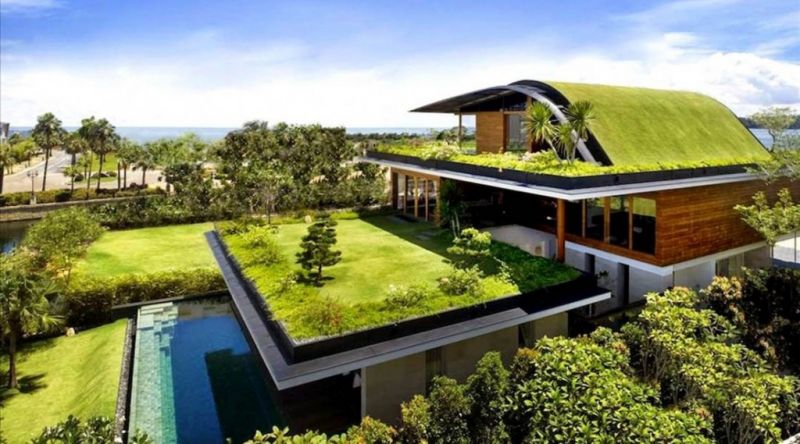 7 Cách làm đẹp ngôi nhà của bạn với vườn tường đứng Quang Anh HCM