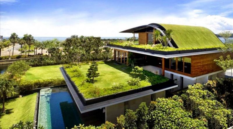 7 Cách làm đẹp ngôi nhà của bạn với vườn tường đứng Quang Anh HCM 7 Cách làm đẹp ngôi nhà của bạn với vườn tường đứng Quang Anh HCM