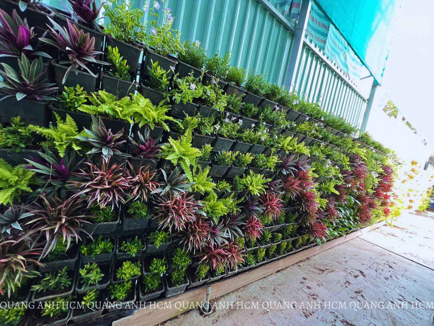 Nhận Thiết Kế Thi Công Vườn Trên Tường Đẹp, Giá Hợp Lí tại Hồ Chí Minh Nhận Thiết Kế Thi Công Vườn Trên Tường Đẹp, Giá Hợp Lí tại Hồ Chí Minh