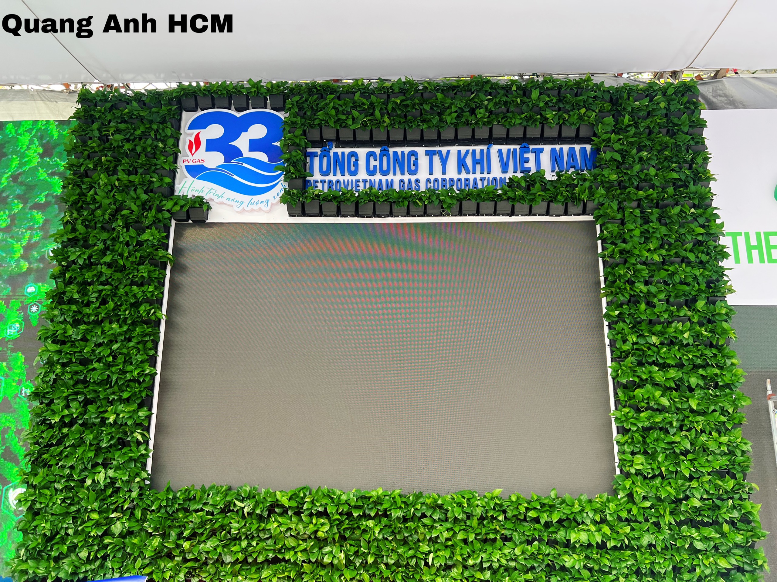 Dự Án Thi Công Vườn Tường Xanh, Vườn Cây Trên Tường Tại Phố Đi Bộ Nguyễn Huệ Dự Án Thi Công Vườn Tường Xanh, Vườn Cây Trên Tường Tại Phố Đi Bộ Nguyễn Huệ