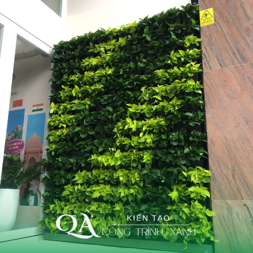  Dự Án Thi Công Vườn Tường Đứng Mặt Tiền – Quang Anh HCM 