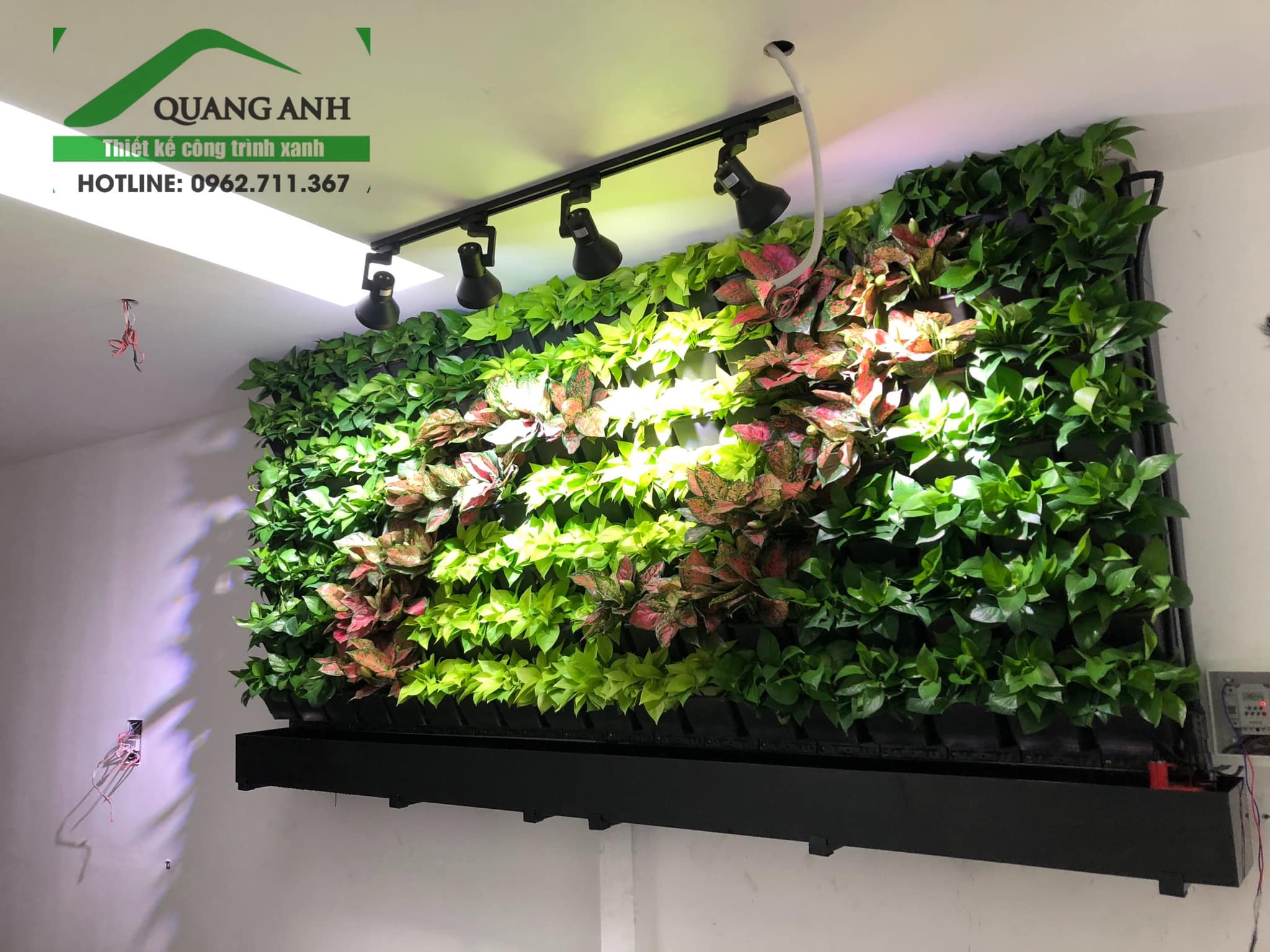 Quang Anh thiết kế, thi công bức vườn tường đứng nội thất cực đẹp cho quán Coffee Quận 1 Quang Anh thiết kế, thi công bức vườn tường đứng nội thất cực đẹp cho quán Coffee Quận 1
