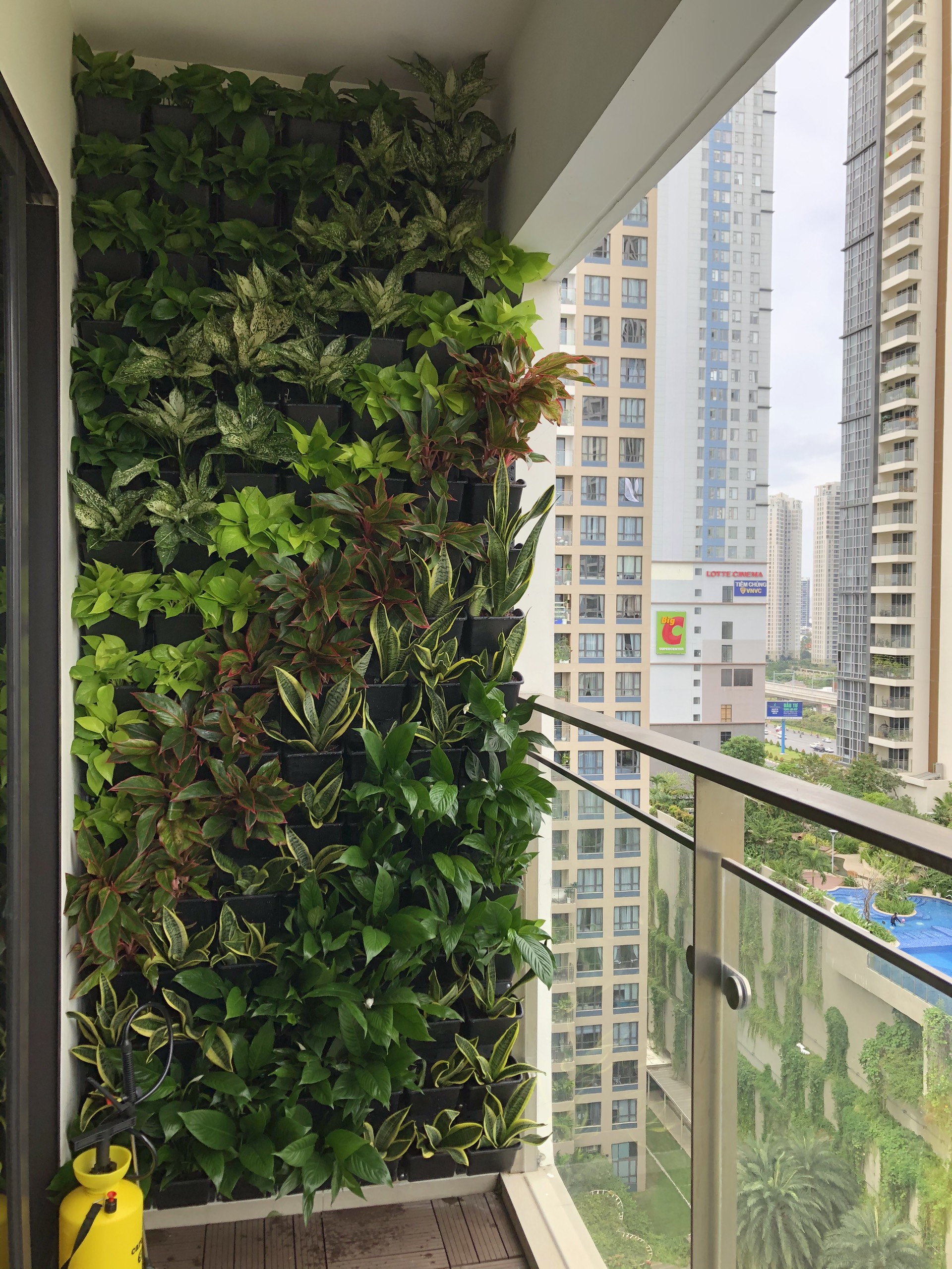 Nâng cấp view nhà hiệu quả nhất với thi công vườn tường đứng Quang Anh HCM trên ban công! Nâng cấp view nhà hiệu quả nhất với thi công vườn tường đứng Quang Anh HCM trên ban công!