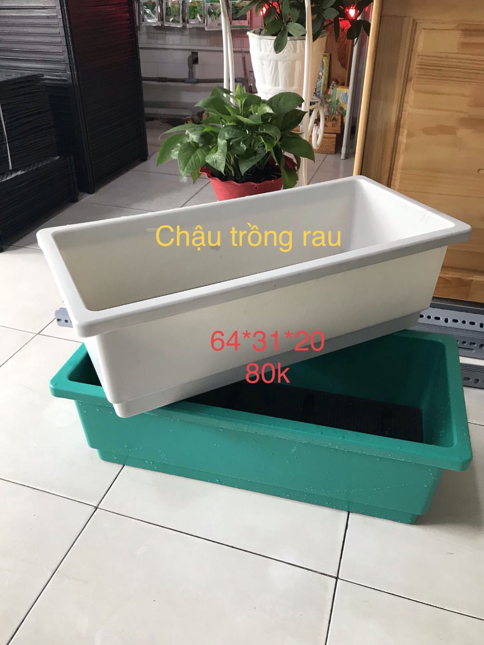 Chậu nhựa trồng cây hình chữ nhật giá rẻ và thông minh tại Quang Anh Chậu nhựa trồng cây hình chữ nhật giá rẻ và thông minh tại Quang Anh