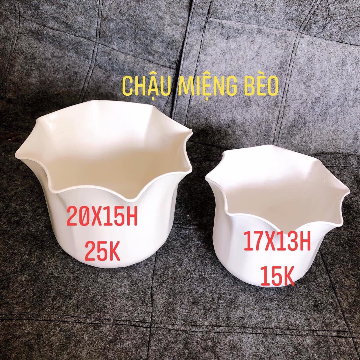 Địa chỉ bán chậu Decor cho nhà thêm xinh giá rẻ bất ngờ