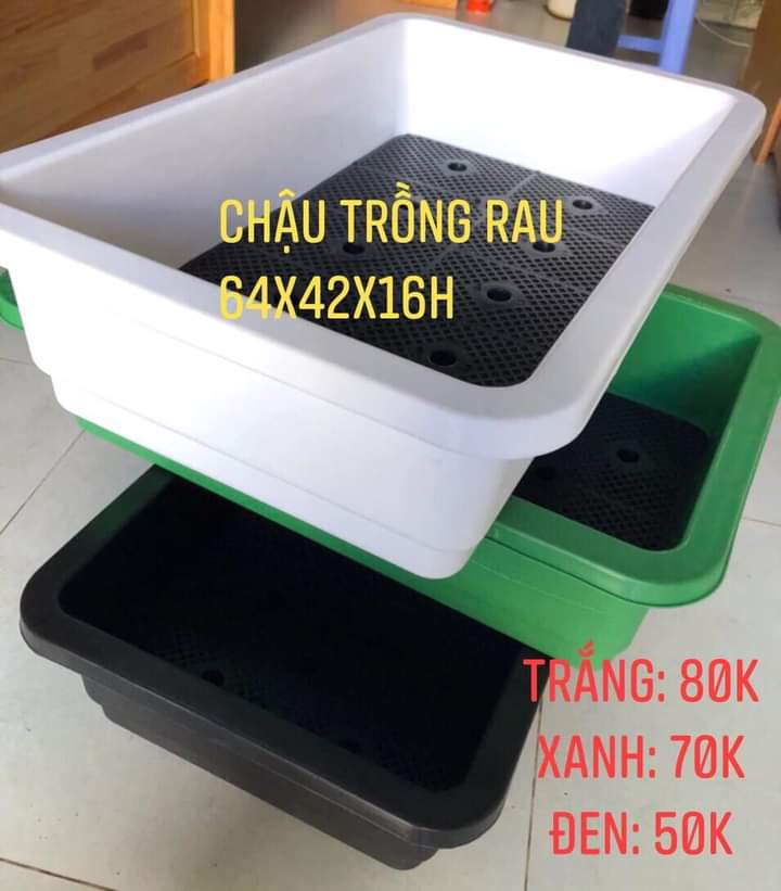 Chậu nhựa trồng rau thông minh tặng kèm vỉ thoát nước 