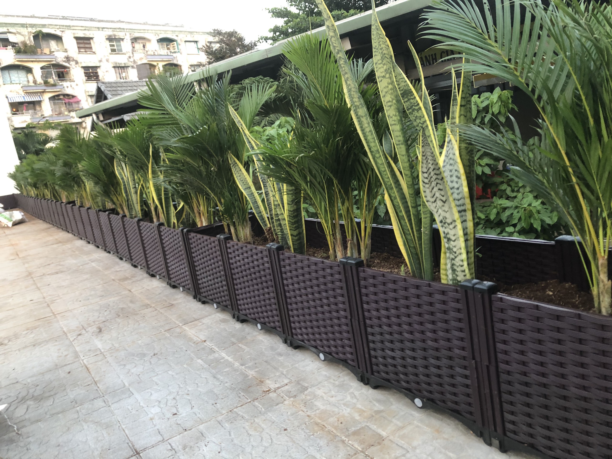 Tô xanh giáo xứ Thánh Bường cùng Quang Anh Tô xanh giáo xứ Thánh Bường cùng Quang Anh