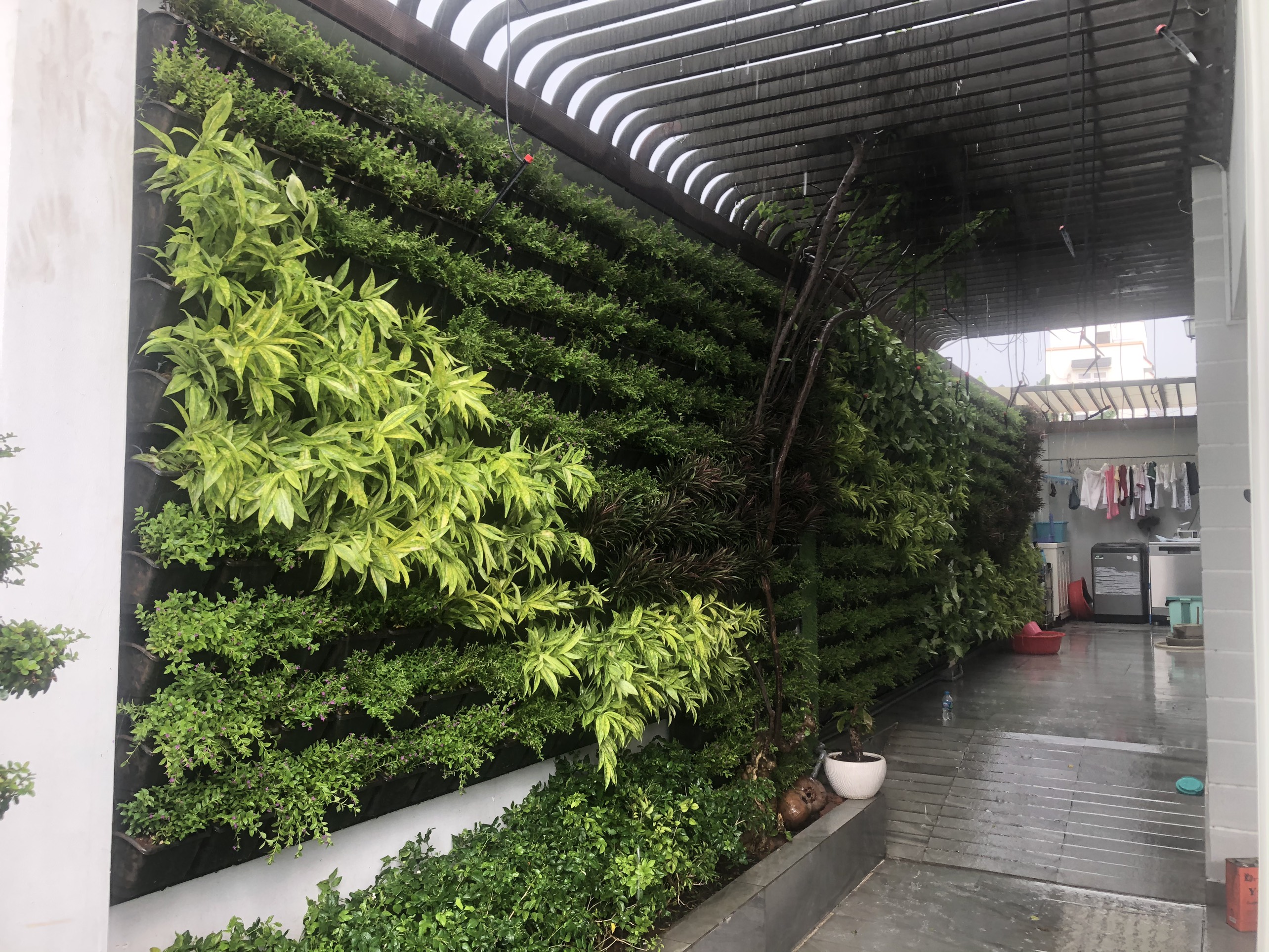 Vườn cây trong nhà - Giải pháp hạ nhiệt tuyệt vời cho mùa hè nóng bức Vườn cây trong nhà - Giải pháp hạ nhiệt tuyệt vời cho mùa hè nóng bức